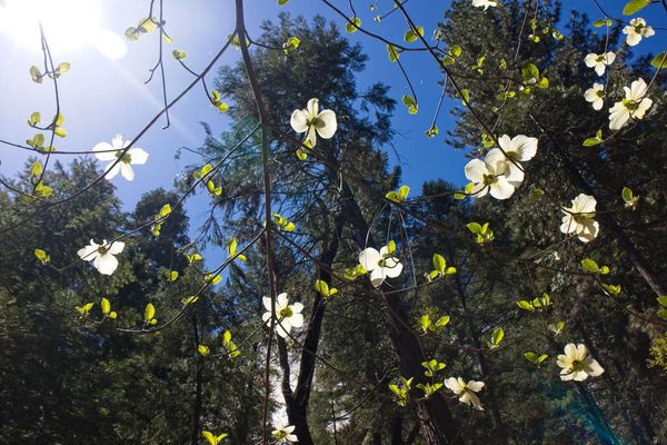 🤠 Rodeo Roundup 2019 /April